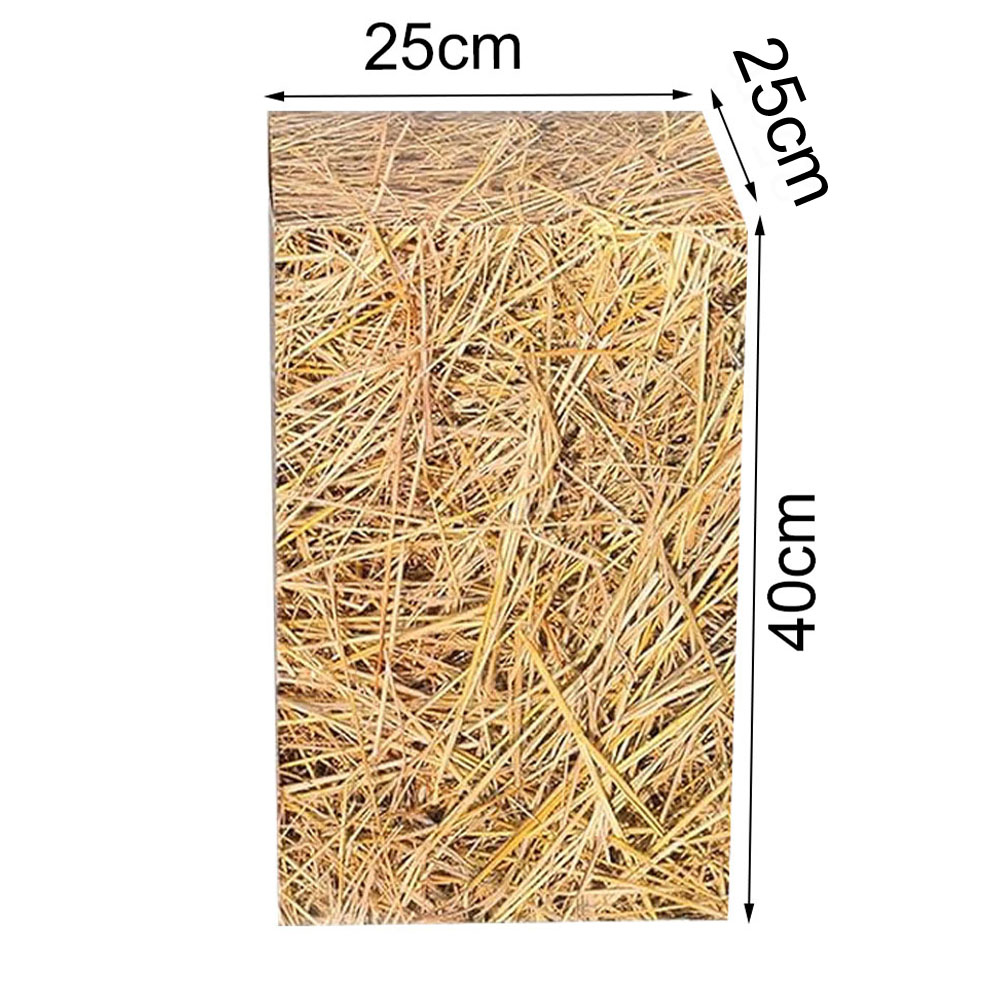 قبعات رعاة البقر الغربية حفلة  - مراجعة Cowboy Hat Straw وسعره